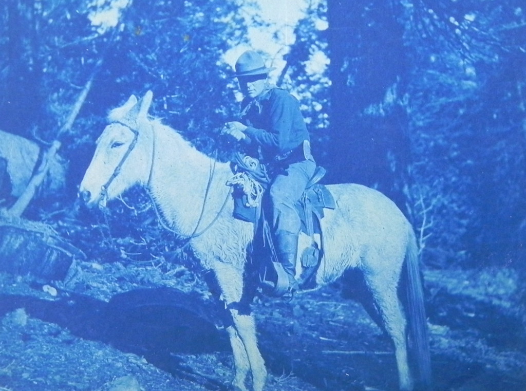 Mora, in Yosemite in 1904