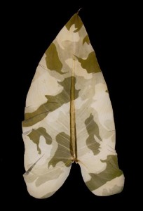 Danh_-Military-Foliage-3_2010