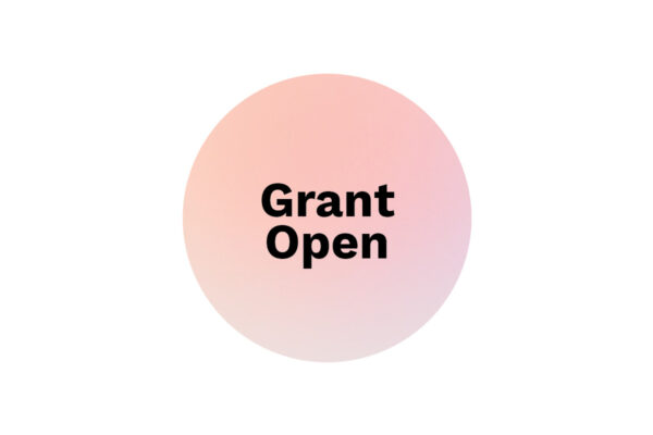 New: Art + Community Grant Program