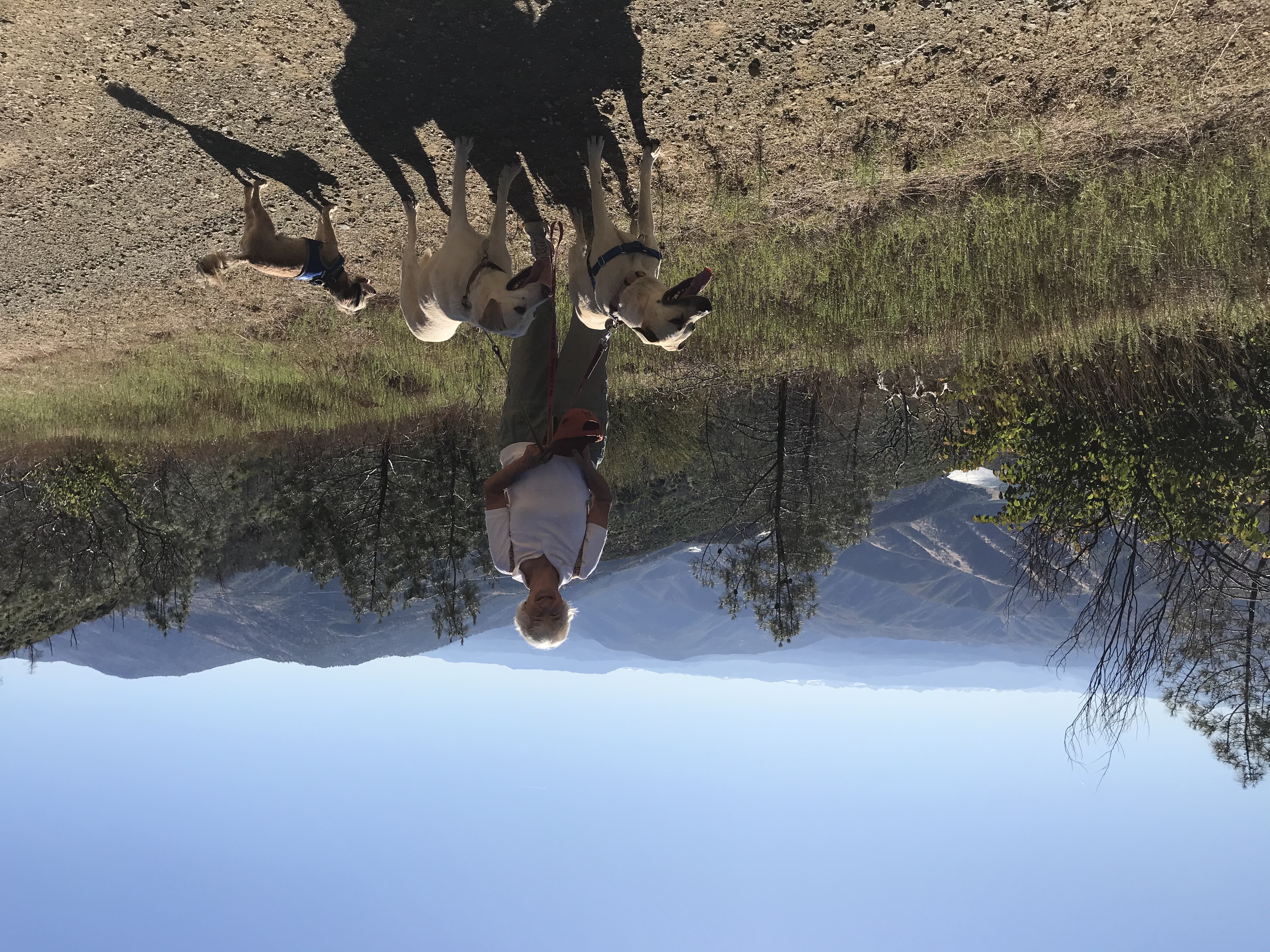 34 Kris Casto tmbtp image An older woman stands on a dirt road, facing the camera and smiling. She is holding two medium sized dogs on a leash. A smaller dog stands next to them. Mountains and a river can be seen in the far background.
