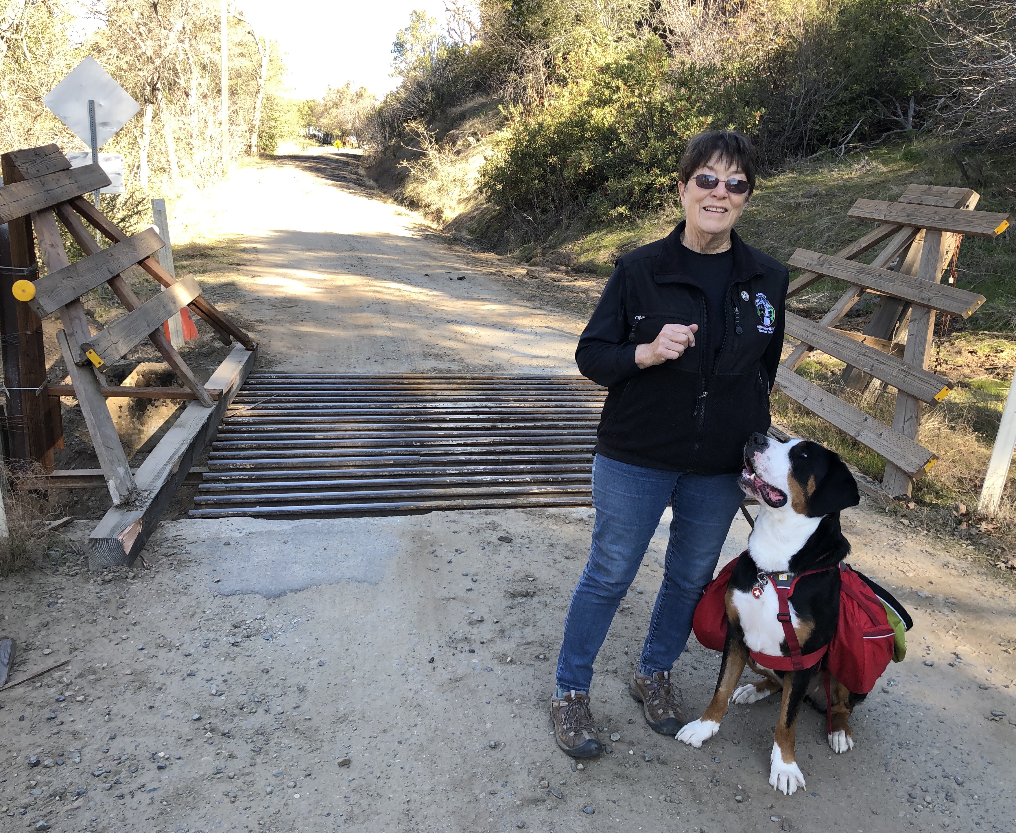 36 1 Susan Robinson tmbtp image