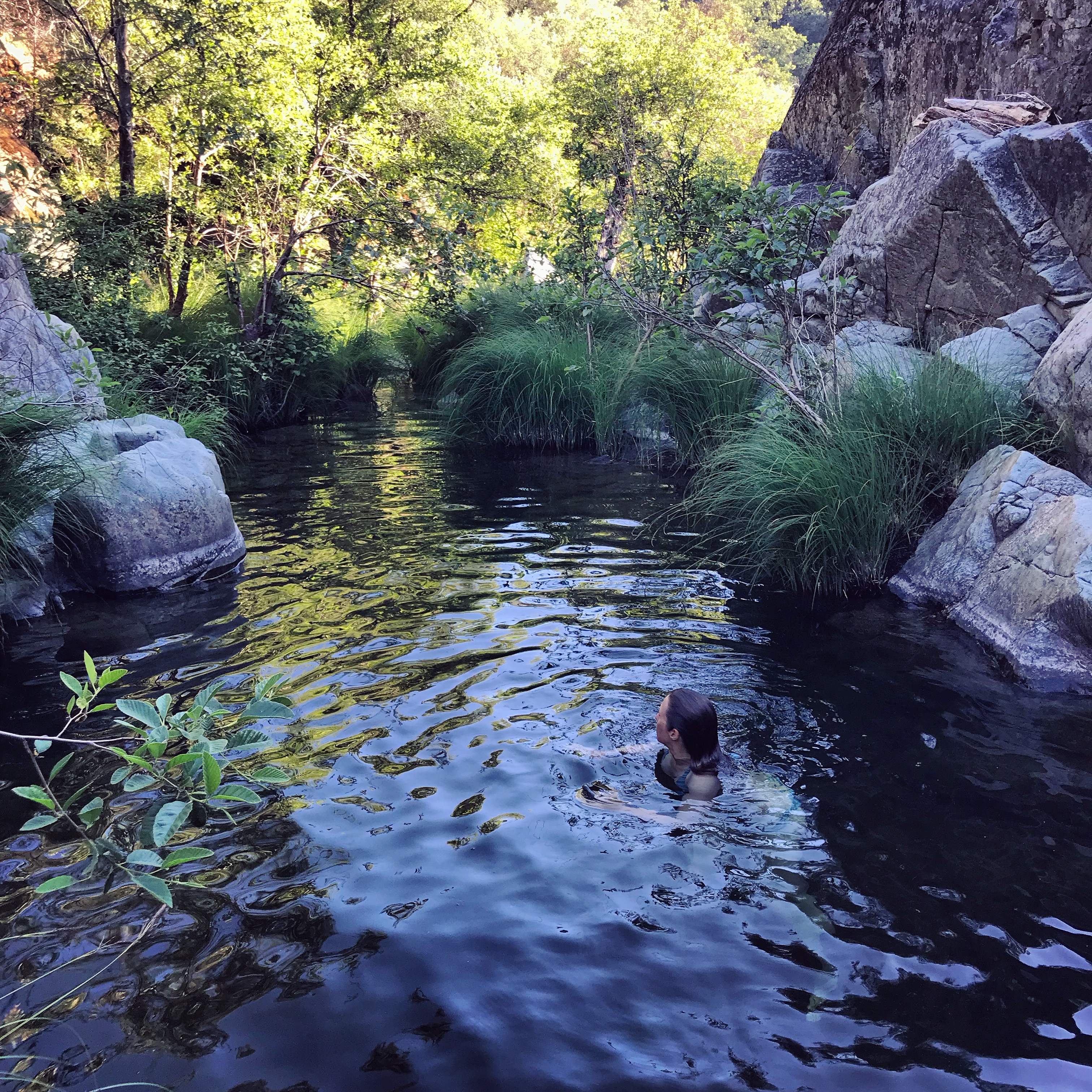 37 Anna Friedland tmbtp image Photo of a swim-hole surrounded by rock outcroppings and river reeds. In the water, a woman is swimming, her head is just above the surface and she is looking away from the camera.