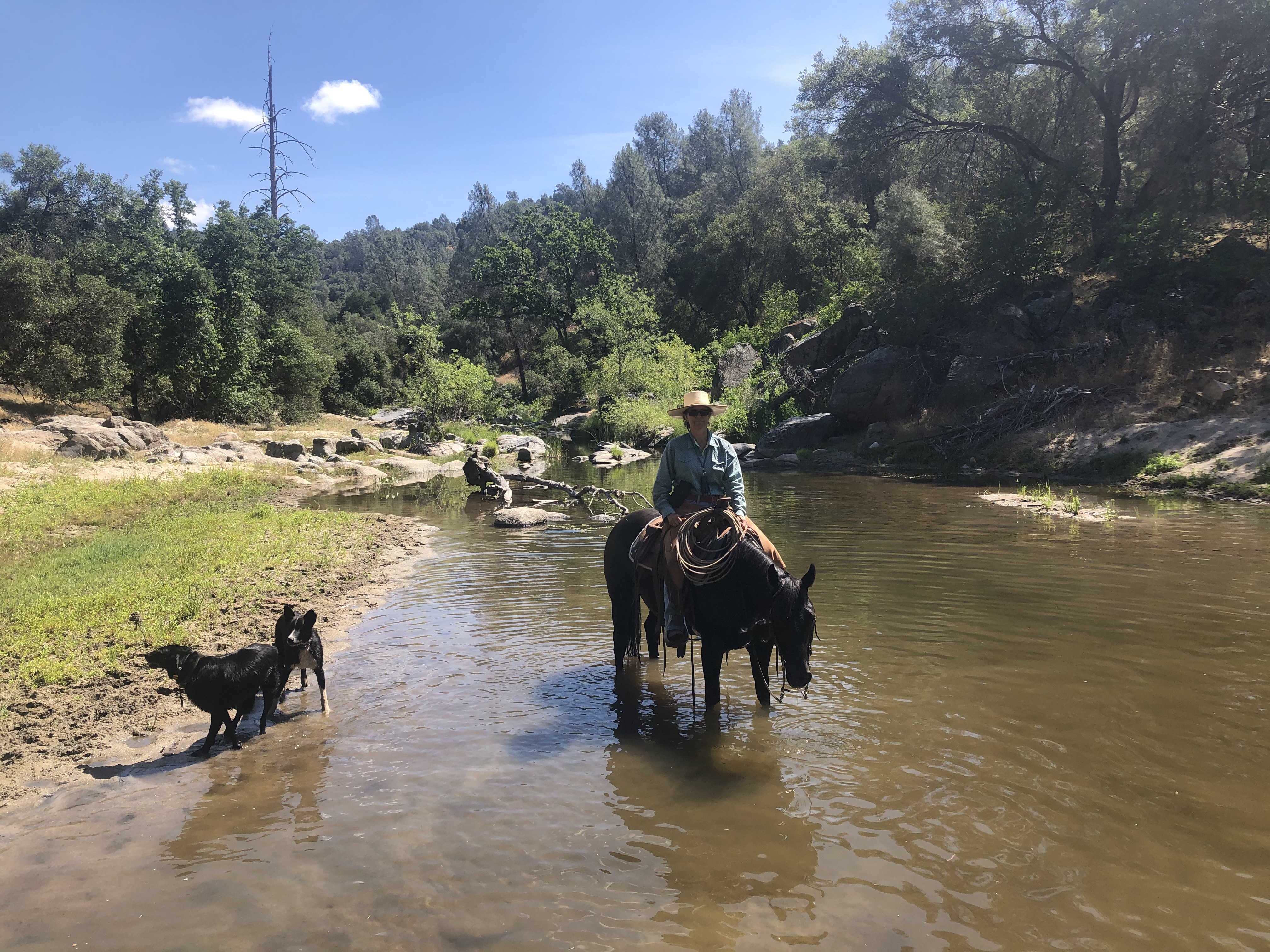 38 Sarah Williams tmbtp image Woman with a hat is seated on horseback in a shallow river. Two dogs are playing on the riverbed. Live oak trees, boulders and mountains are in the background.