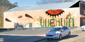 Final Design Slide Murals