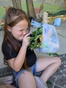 PXL_20250612_170516559